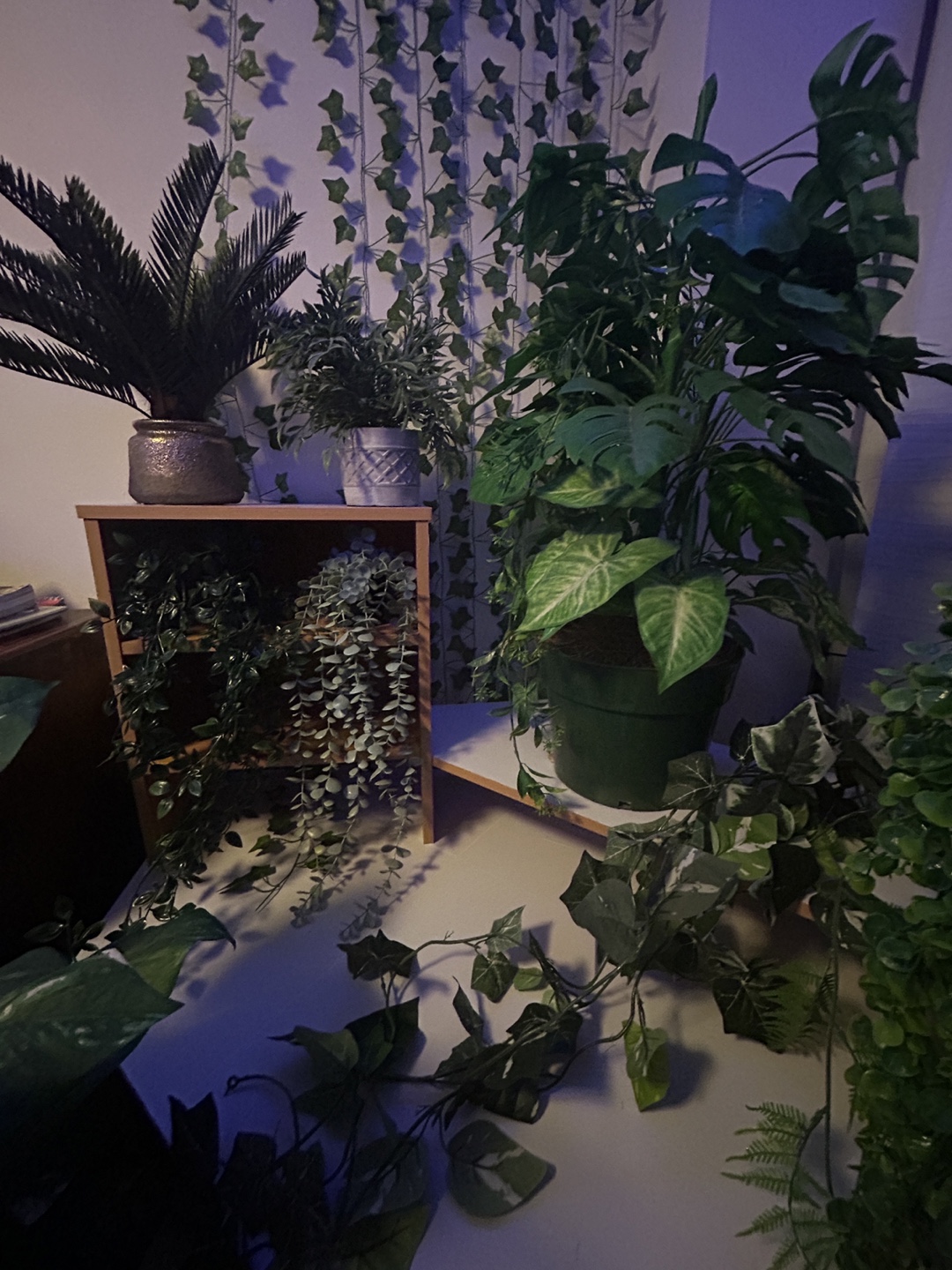 Artificial Plants Bundle