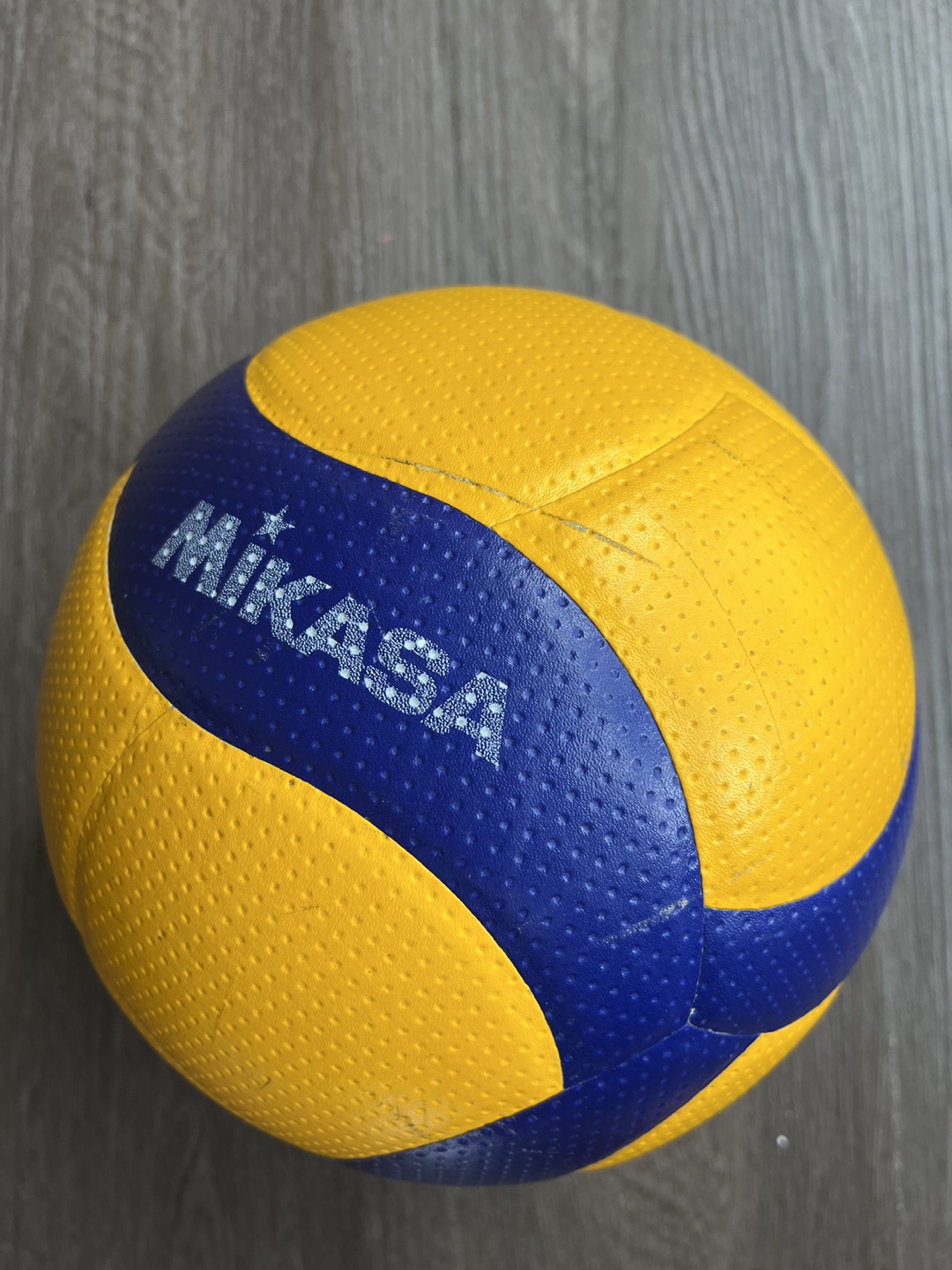 Mikasa Volleyball