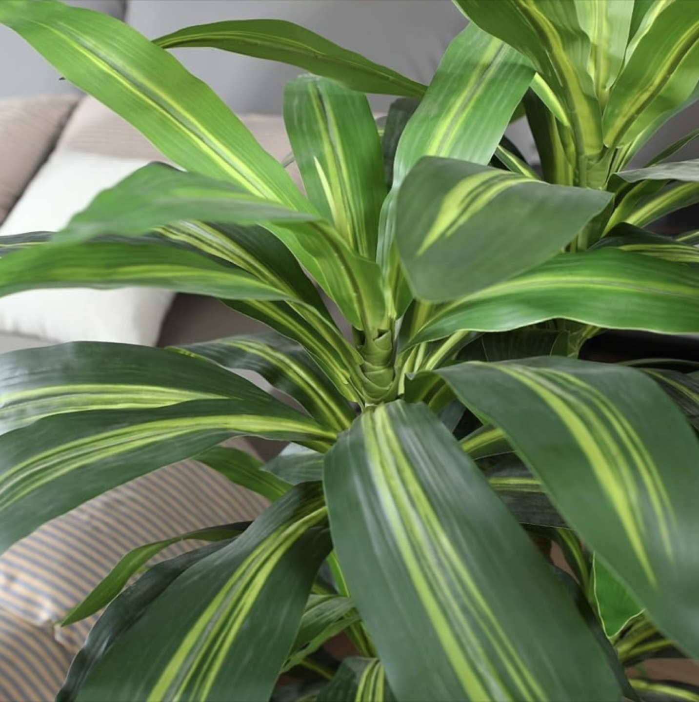 4ft Artificial Dracaena Tree in White Planter - photo 5