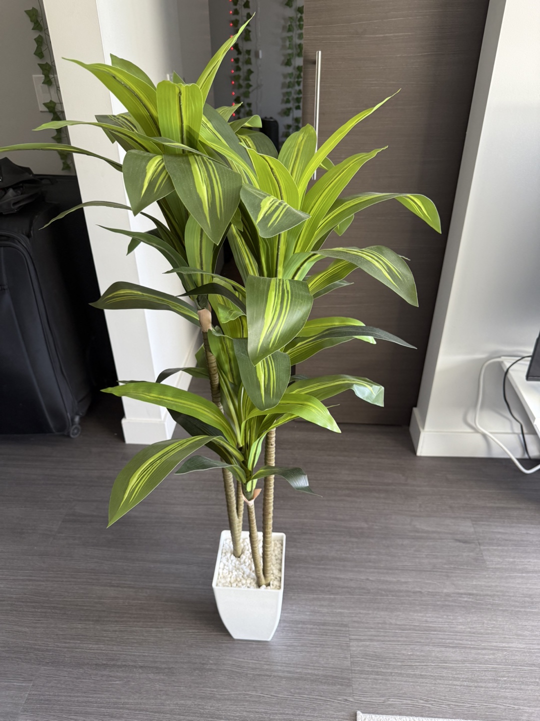 4ft Artificial Dracaena Tree in White Planter