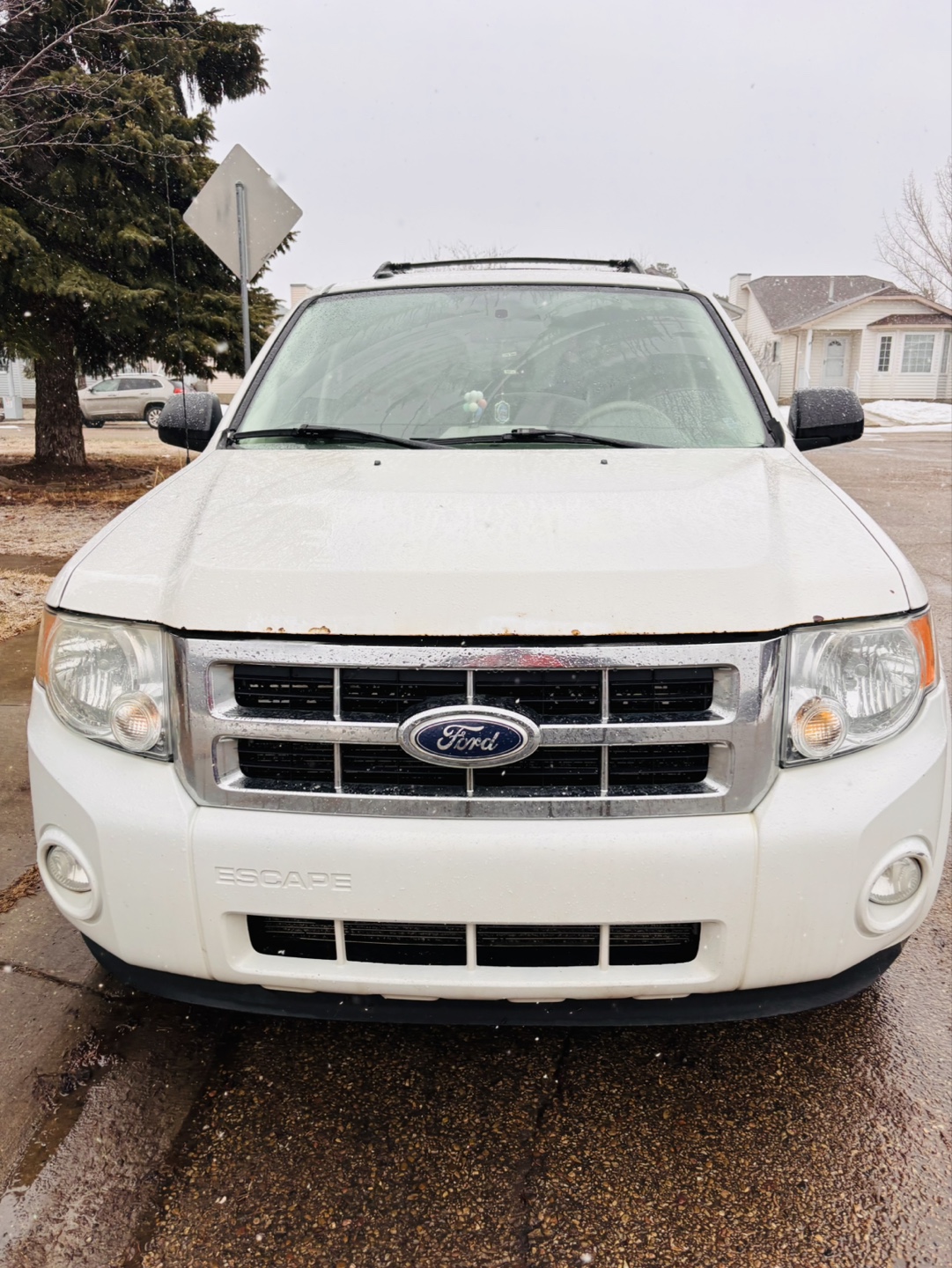 2010 Ford Escape - White SUV