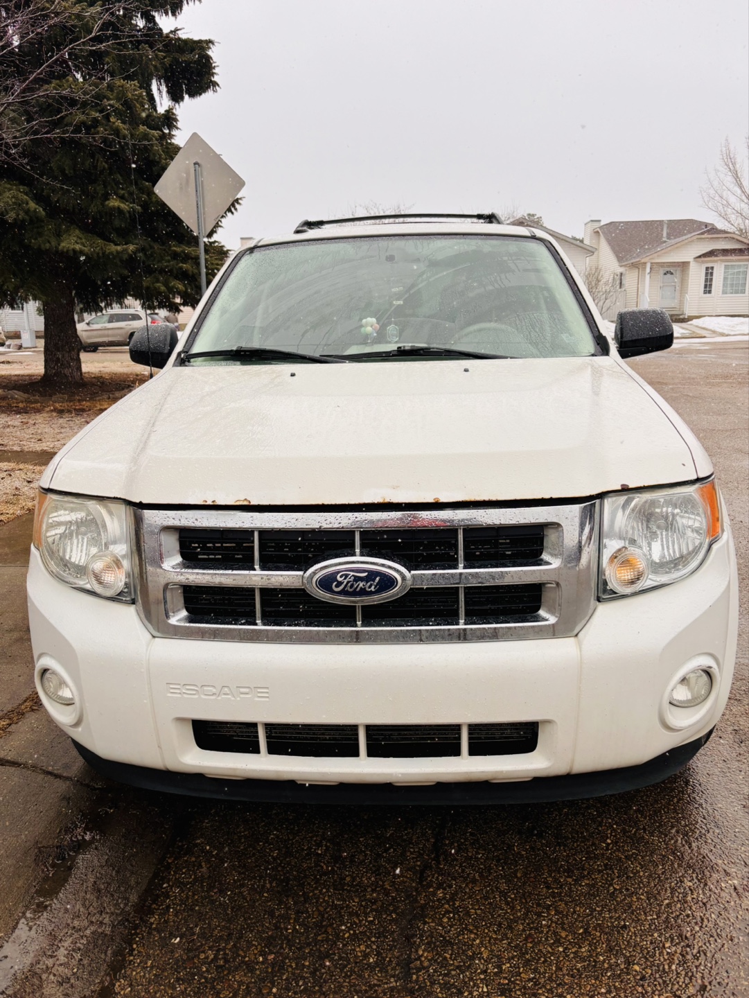 2010 Ford Escape - White SUV - photo 2