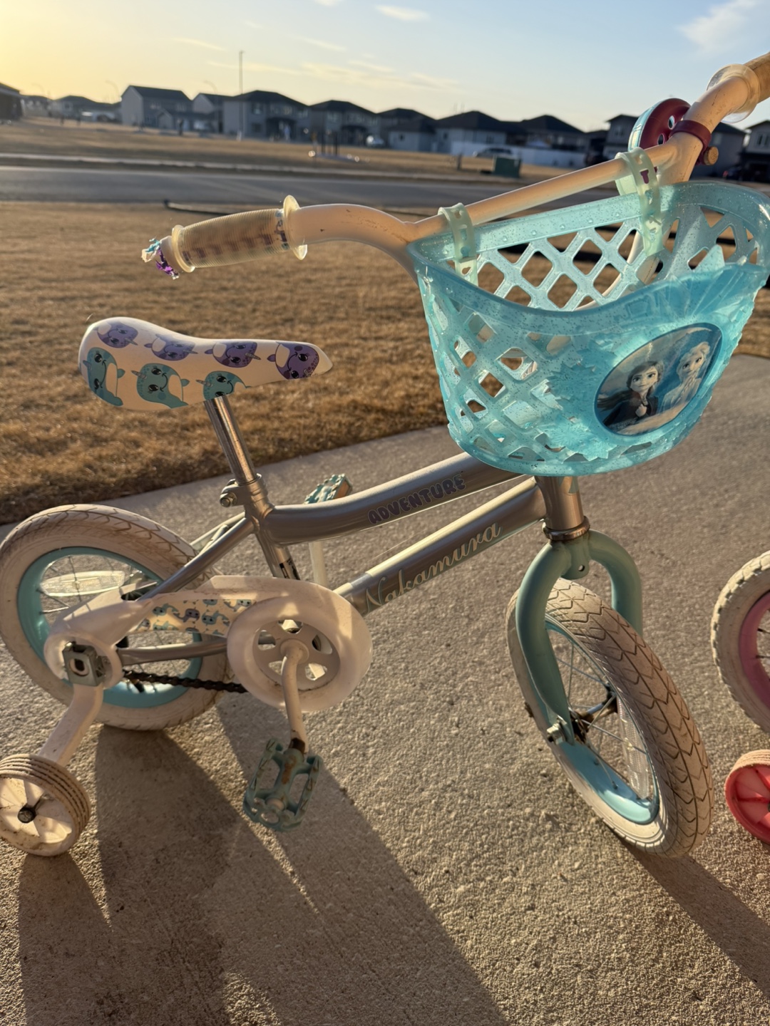 Nakamura Adventure Girls Bike