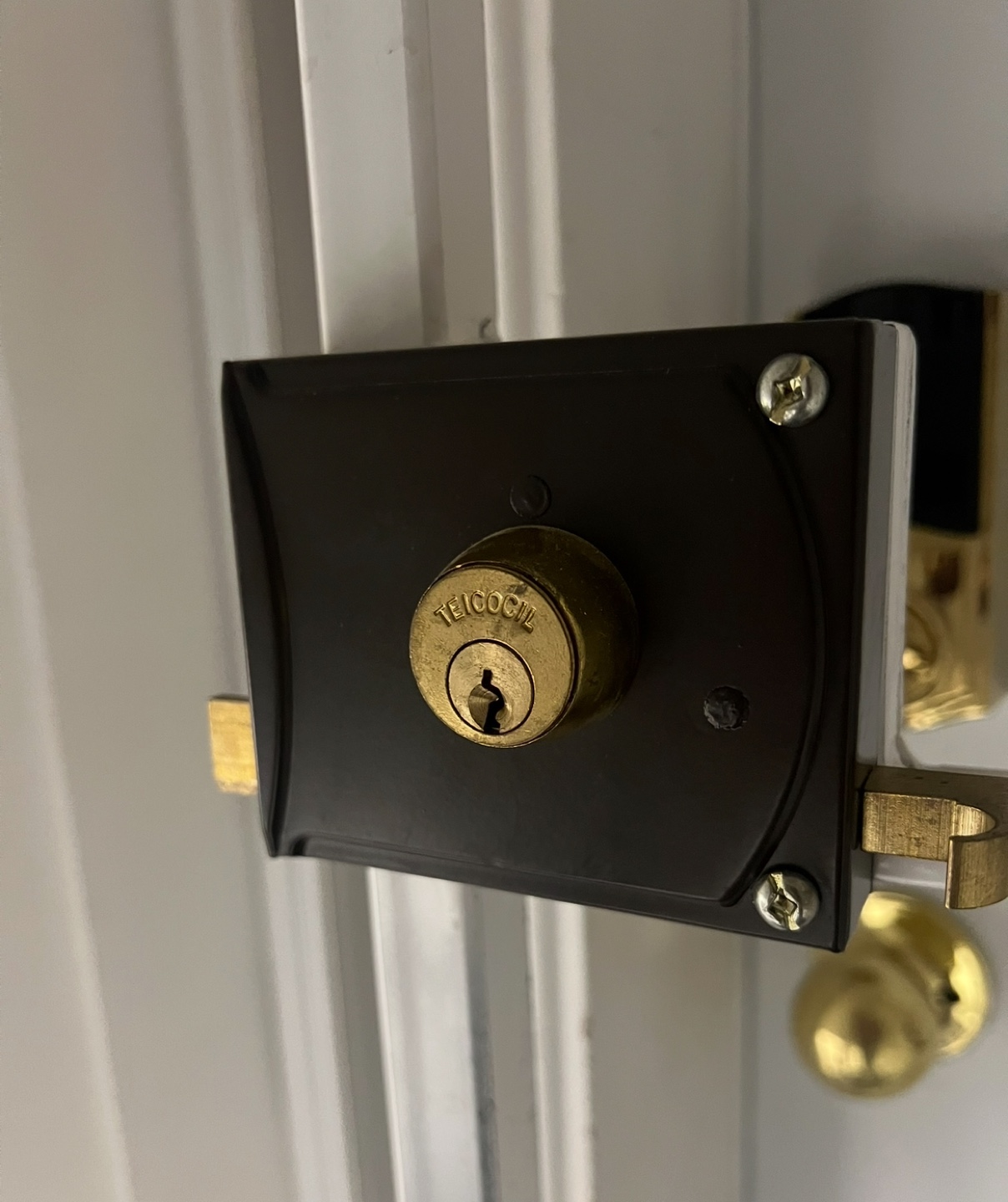 White Metal Security Gate with TeicoCil Lock - photo 4