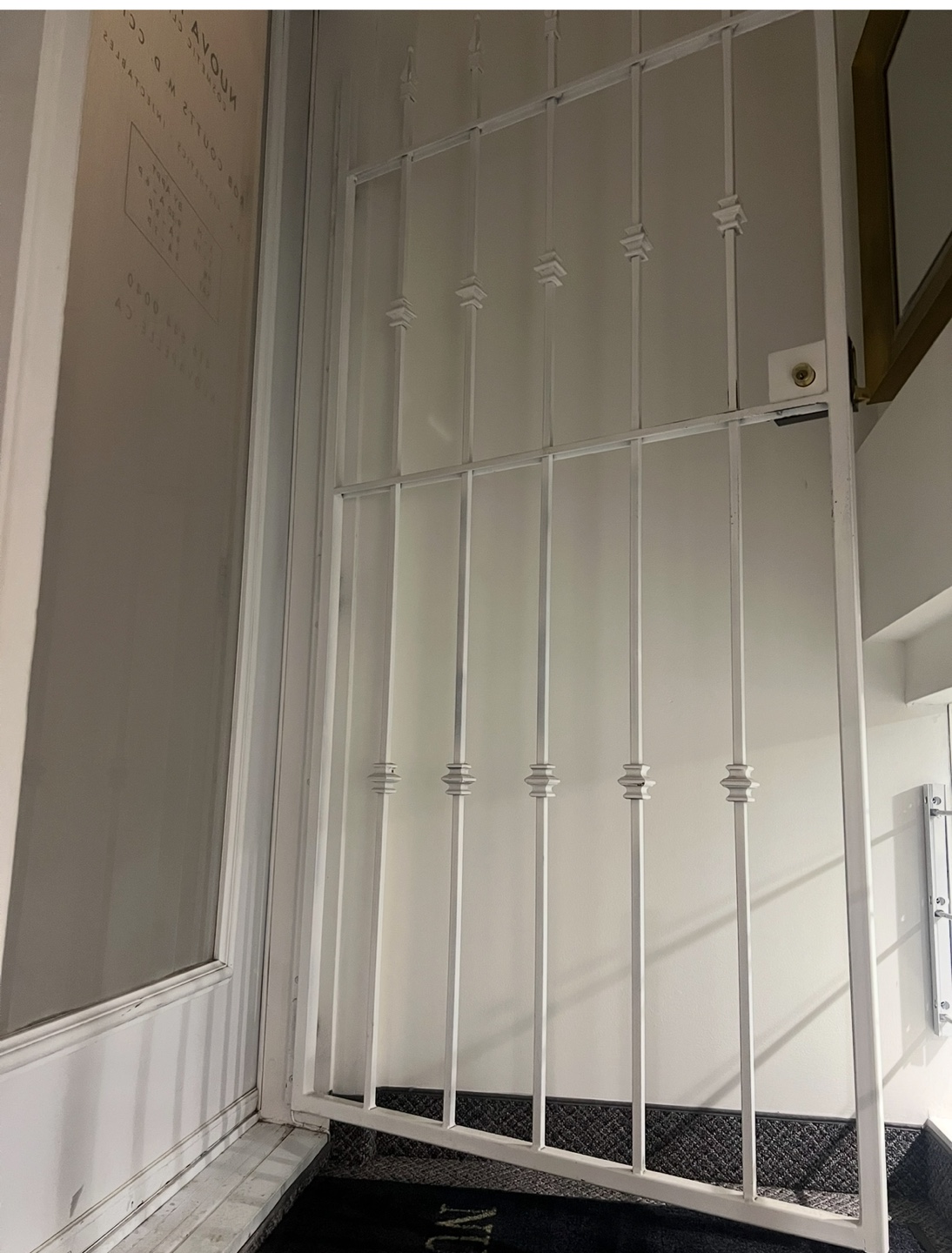 White Metal Security Gate with TeicoCil Lock - photo 3
