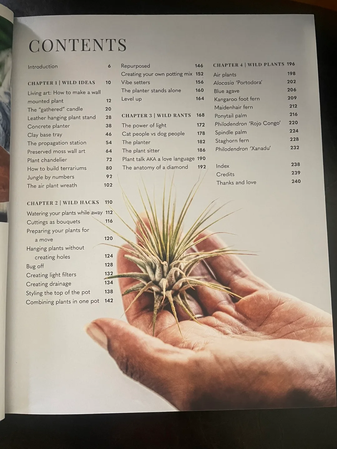 Hilton Carter Wild Creations Book image indicator(2)