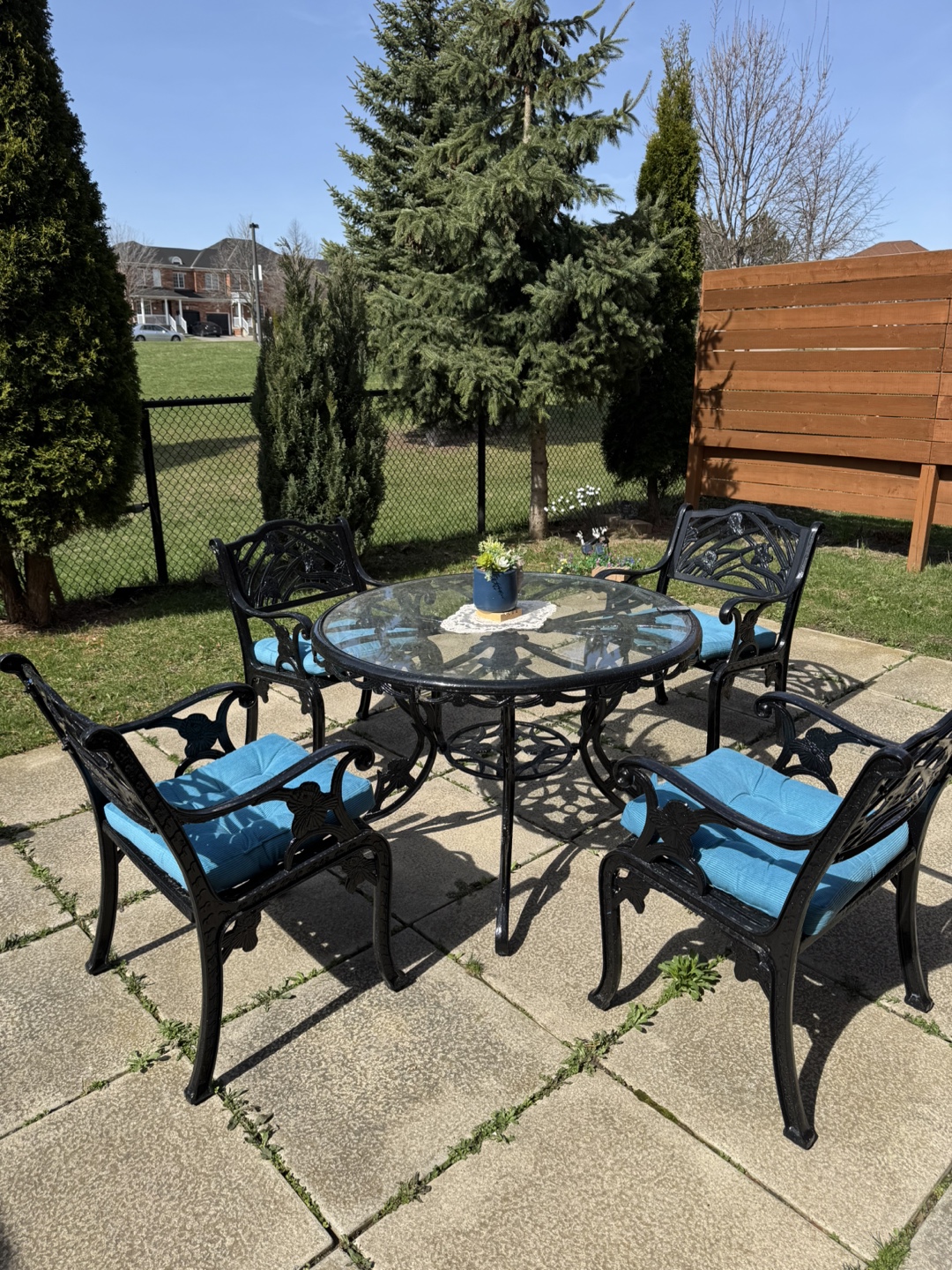 Ornate Black Metal Patio Set with Cushions