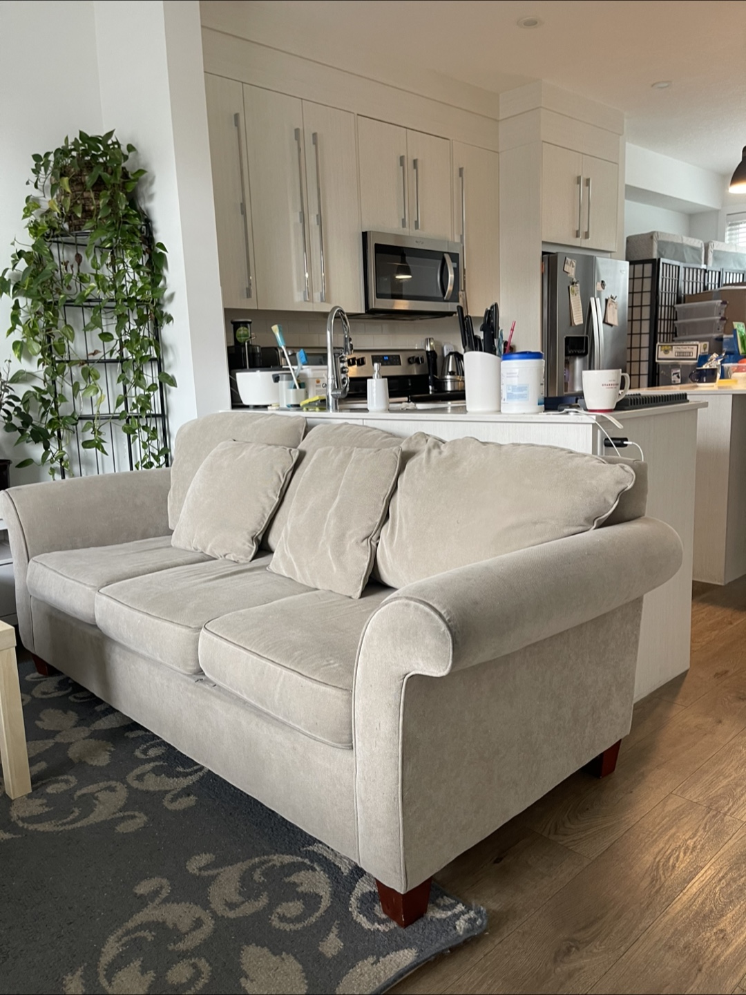 Beige Loveseat and Couch