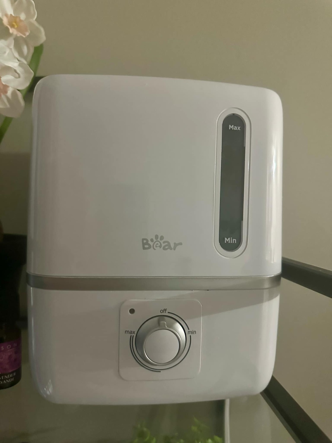 Boar Ultrasonic Humidifier