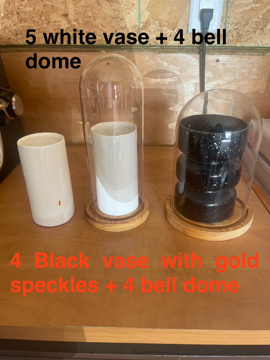 Vases with Glass domes