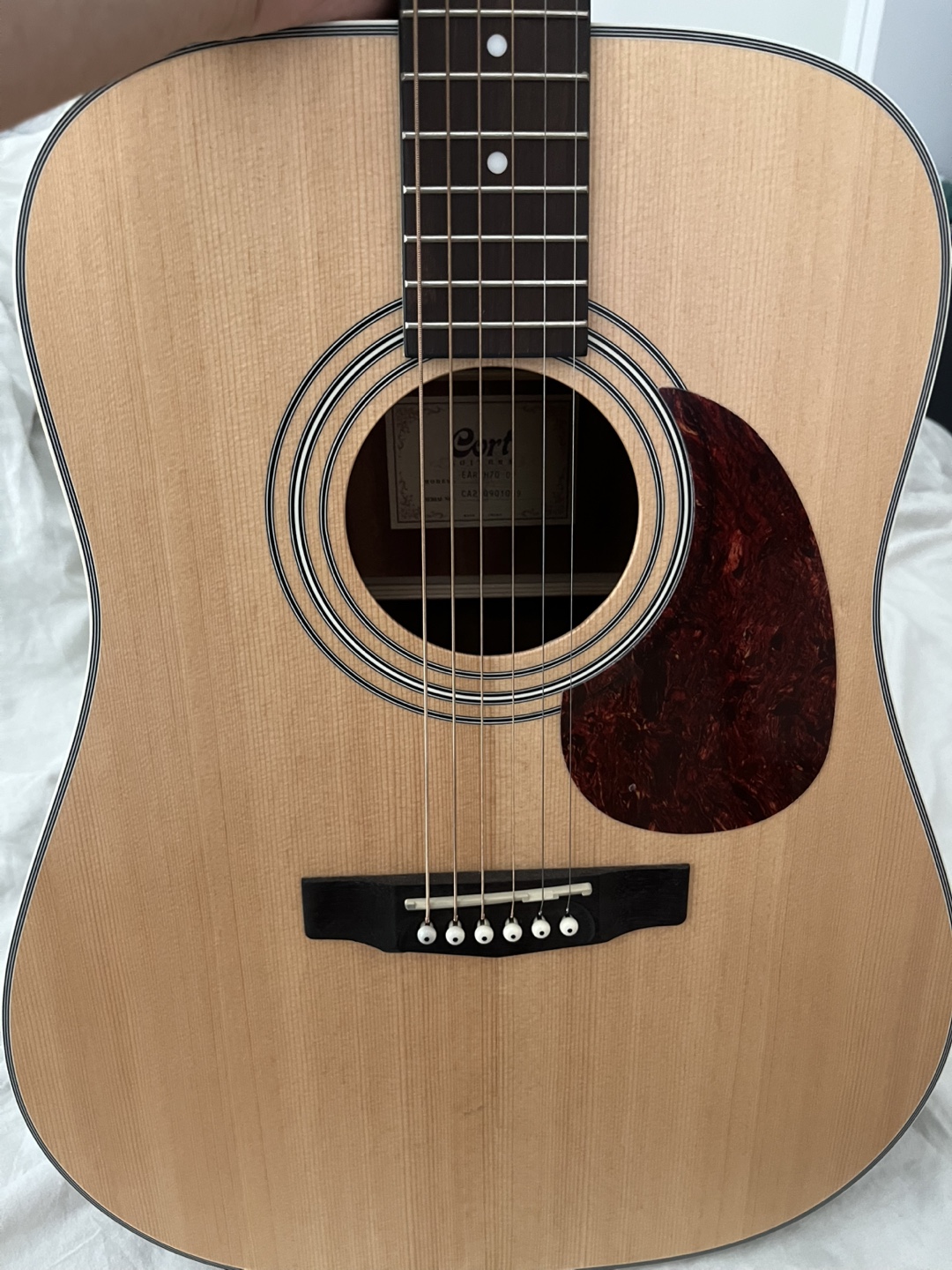 Acoustic Guitar - Cort Earth 70 OP - photo 3