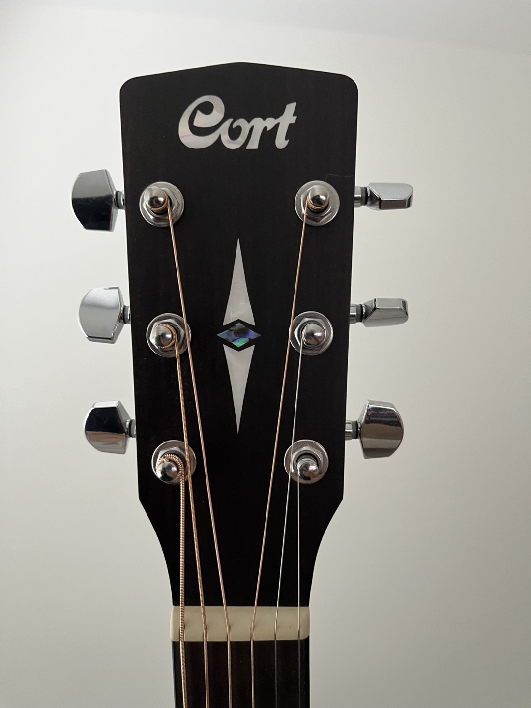 Acoustic Guitar - Cort Earth 70 OP - photo 4
