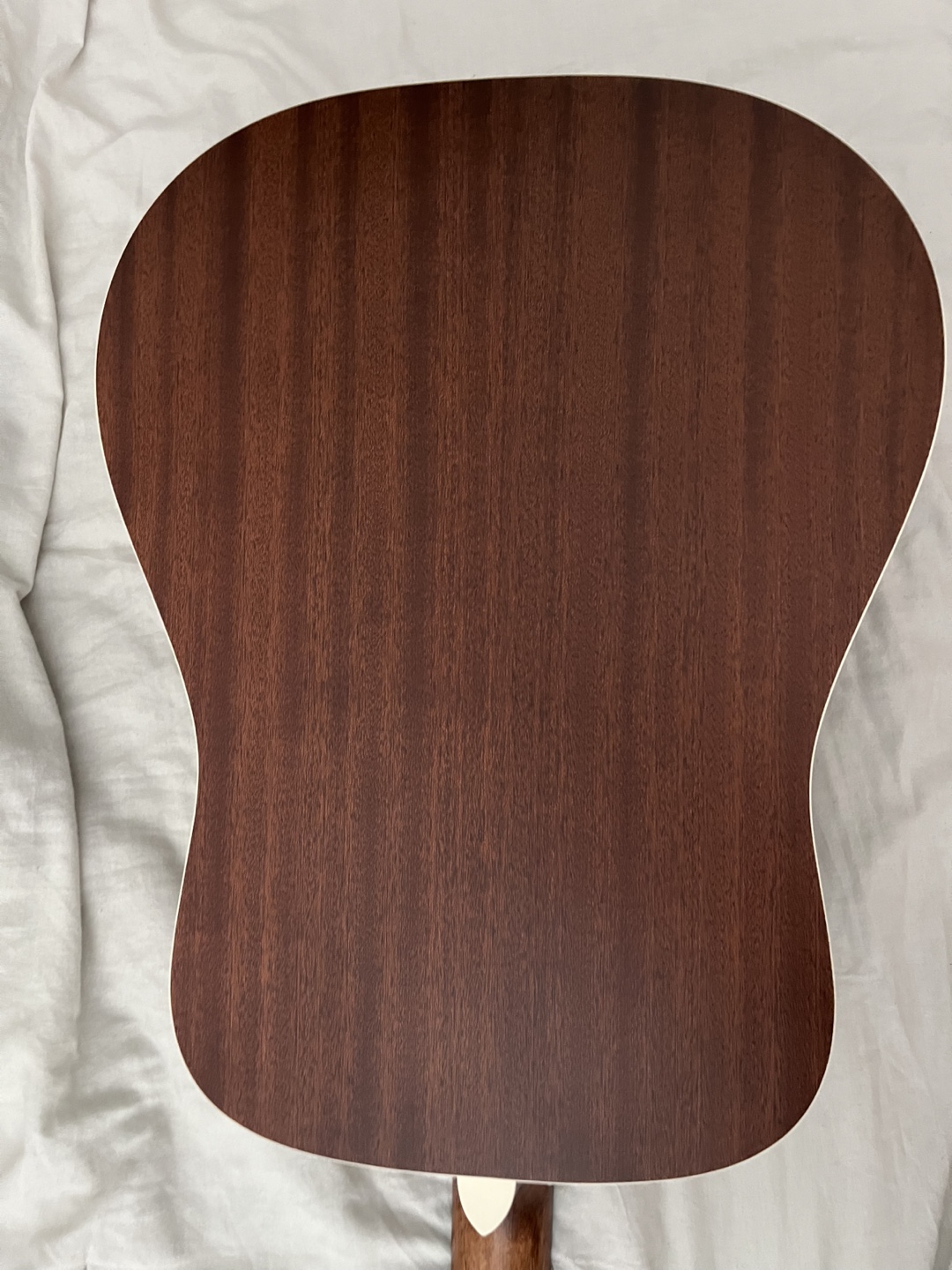 Acoustic Guitar - Cort Earth 70 OP - photo 5