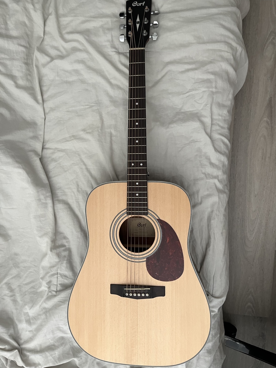 Acoustic Guitar - Cort Earth 70 OP