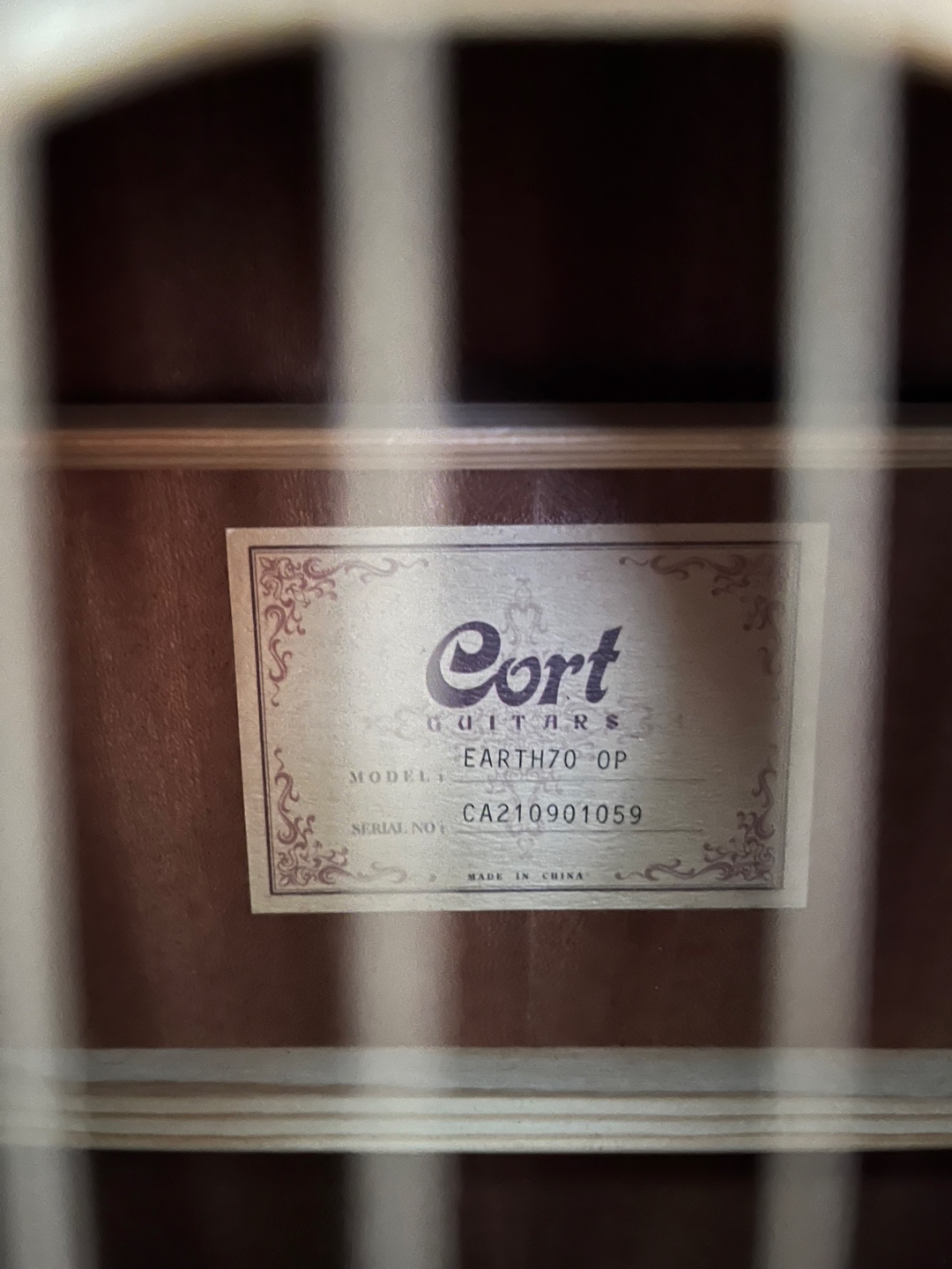 Acoustic Guitar - Cort Earth 70 OP - photo 2