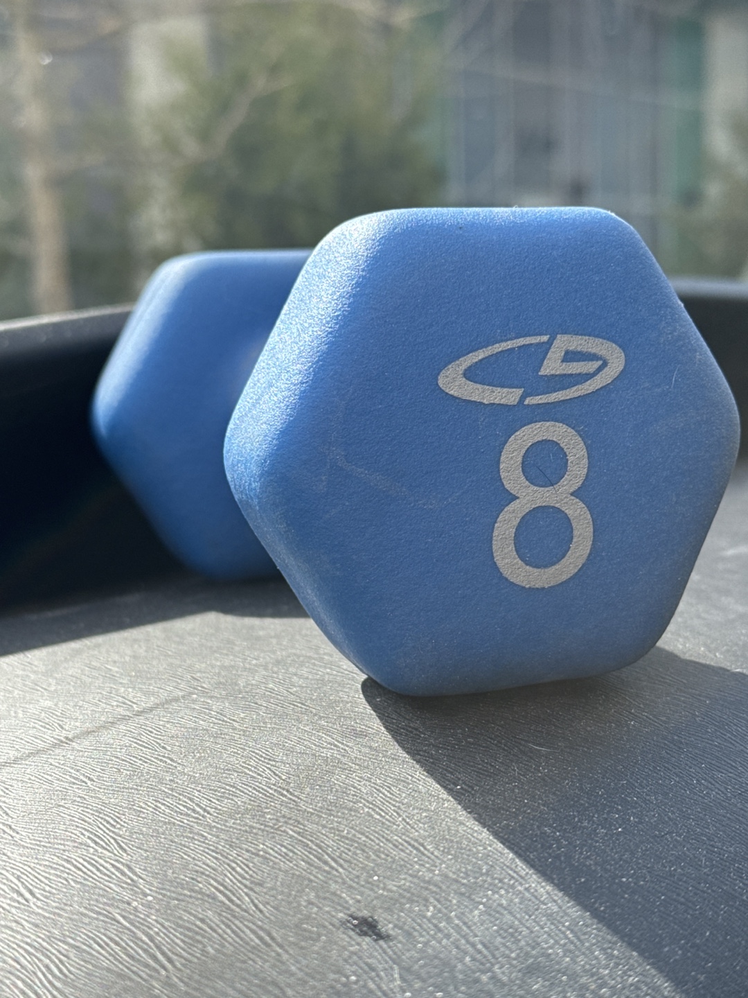 8lb Hex Dumbbell