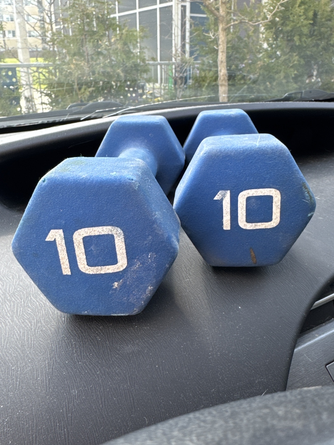 Pair of 10lb Hex Dumbbells