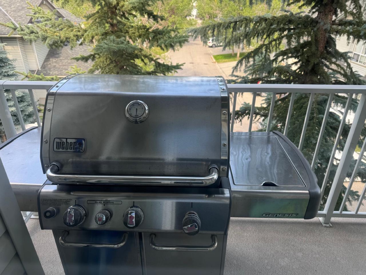 Weber Genesis BBQ - photo 5