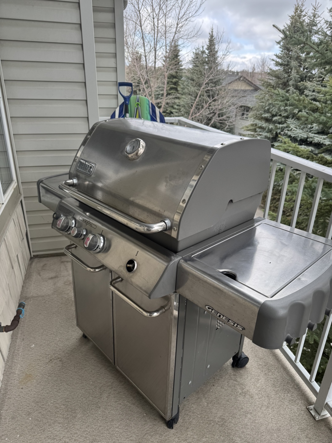 Weber Genesis BBQ