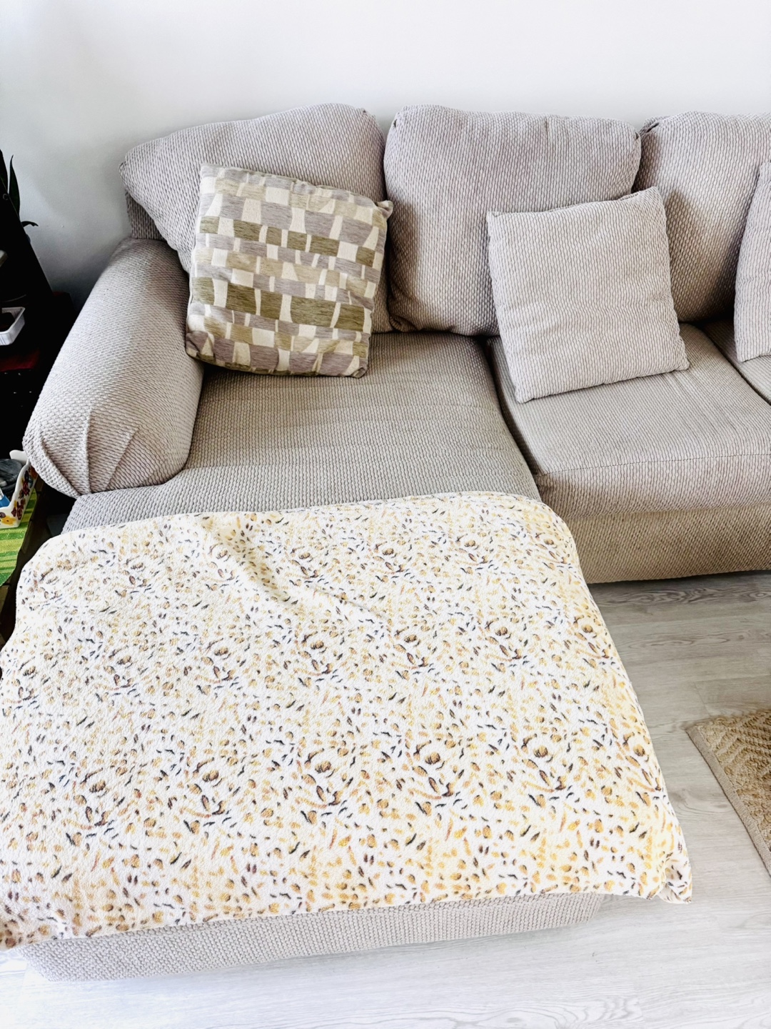 Beige Sectional Sofa with Chaise Lounge - photo 4