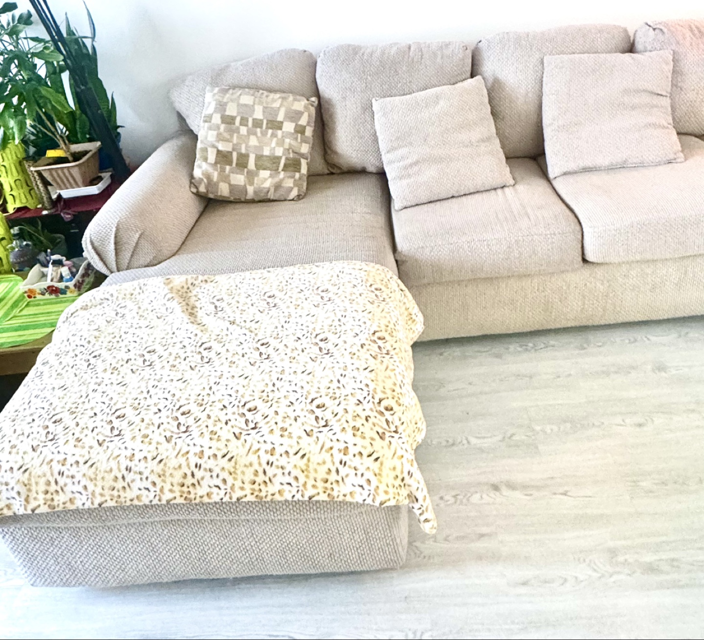 Beige Sectional Sofa with Chaise Lounge