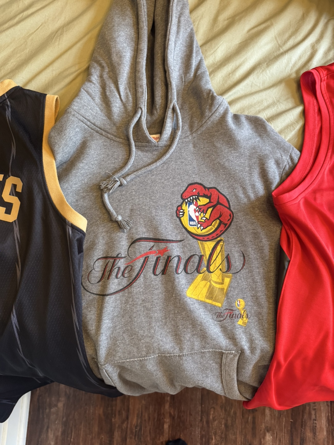 Raptors Championship Hoodie