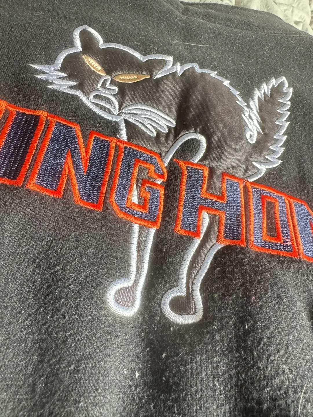 Black & Green Cropped Zip-up Sweater image indicator(3)