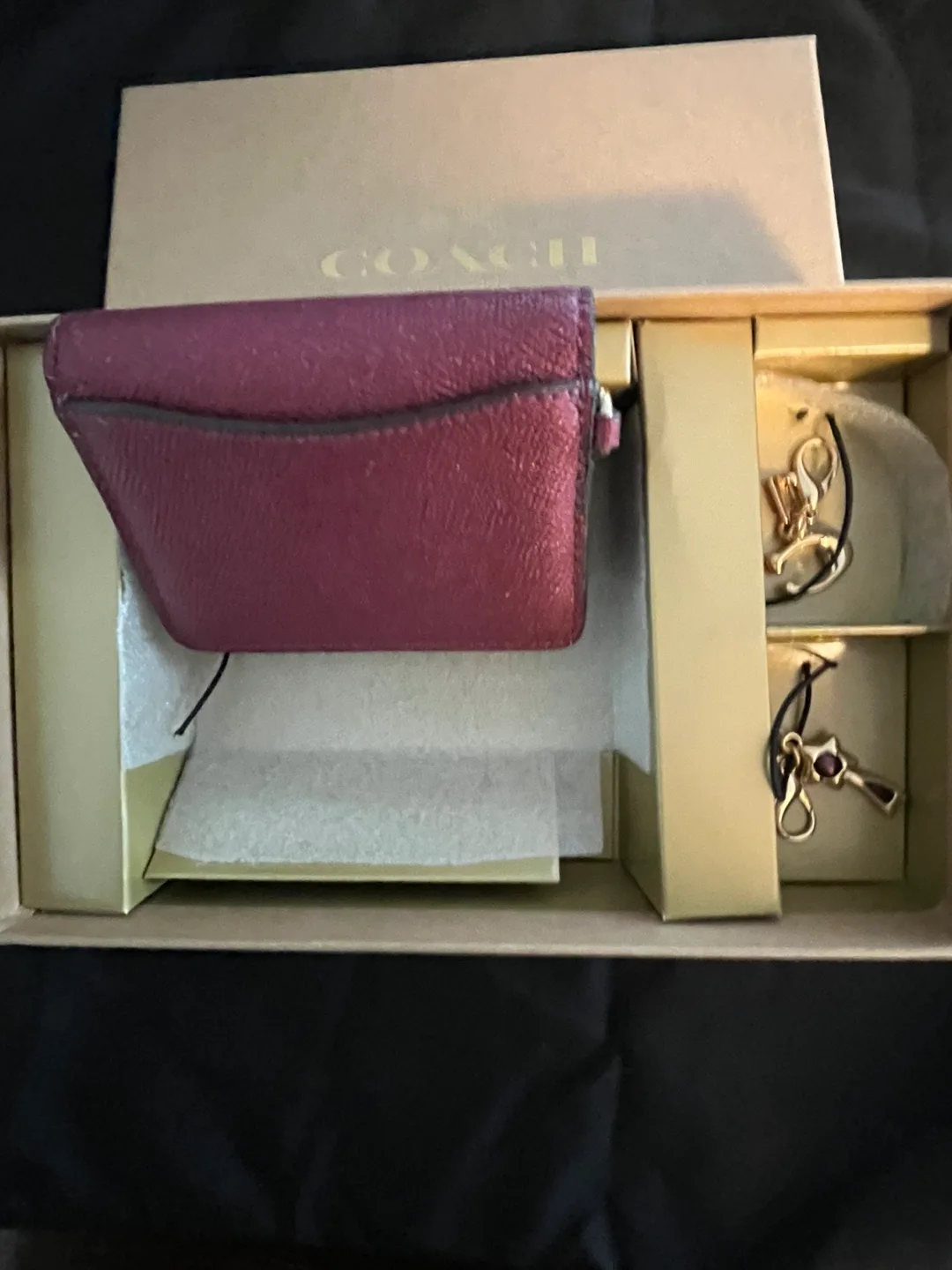 Coach Mini Wallet with Chain and Charms image indicator(2)