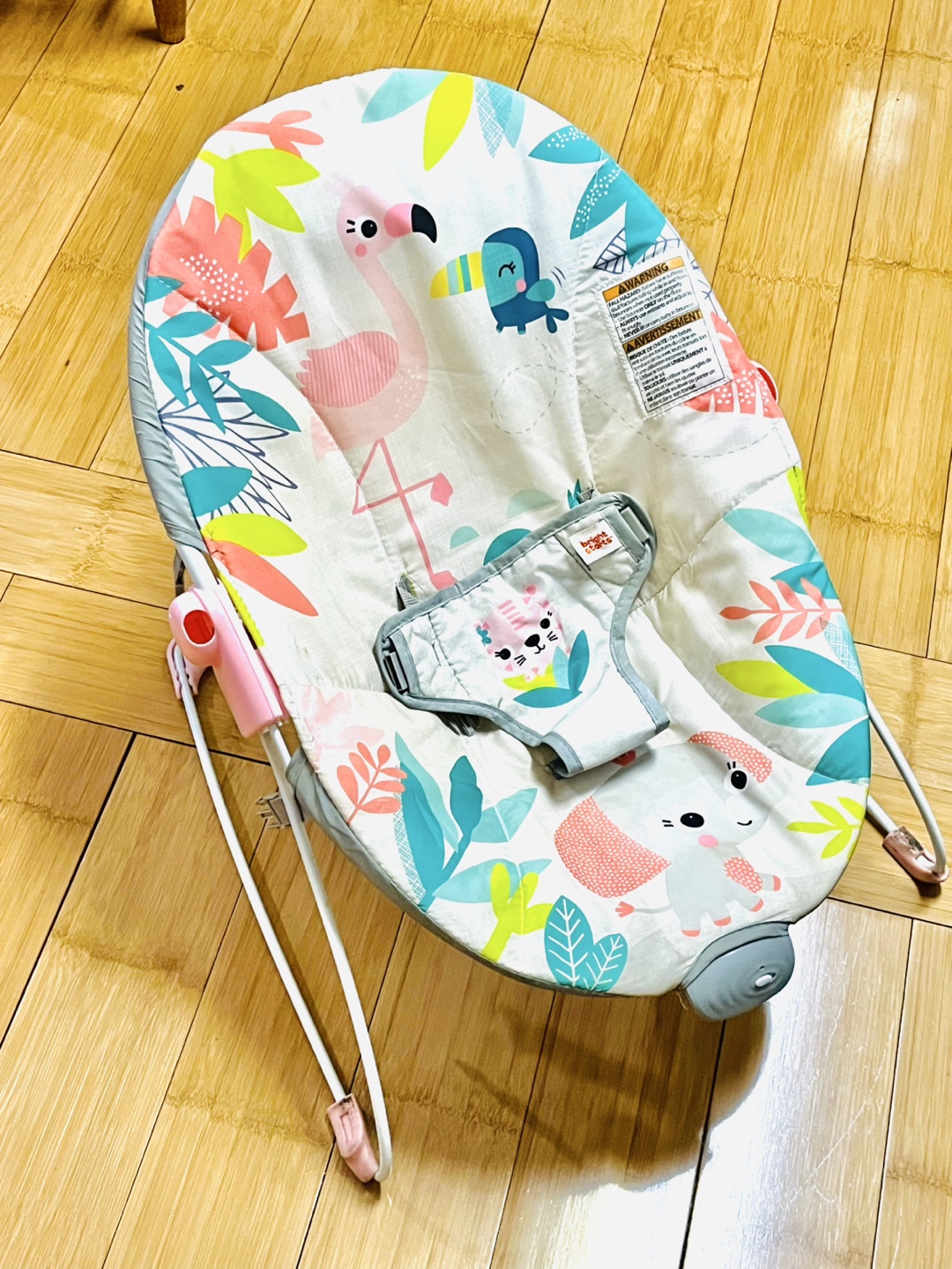 Baby Bouncer
