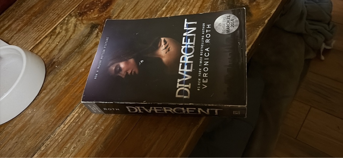 Divergent Series Books 1 & 3: Divergent & Allegiant - photo 2