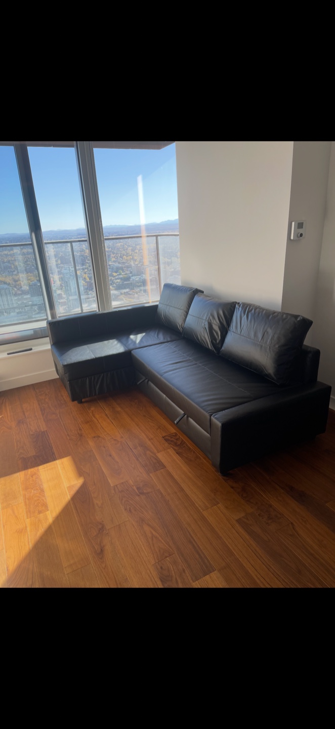 Black IKEA pull out couch