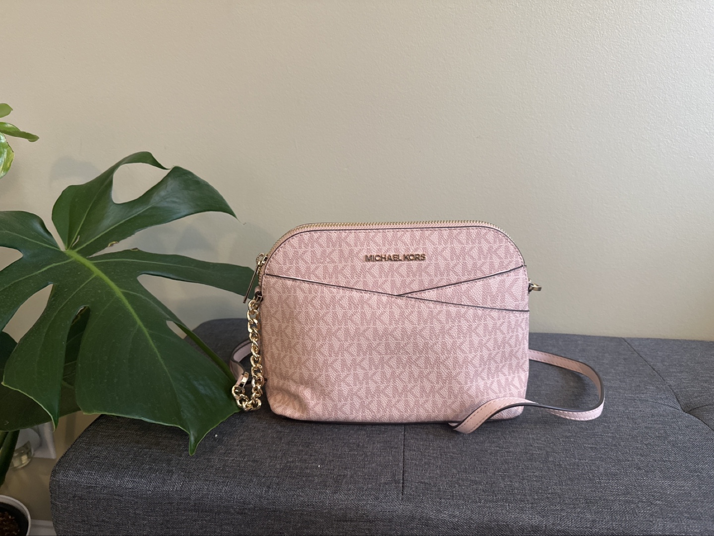 Michael Kors Pink Crossbody Bag
