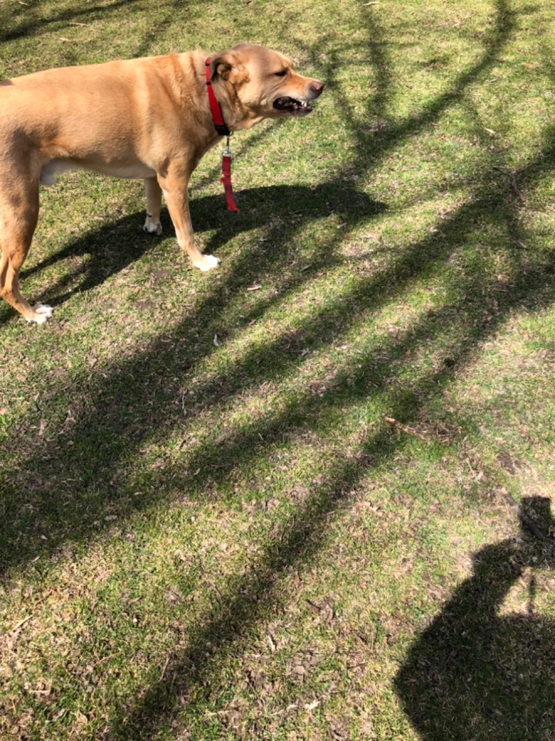 Bionaire Air Purifier Filter Series image indicator(3)