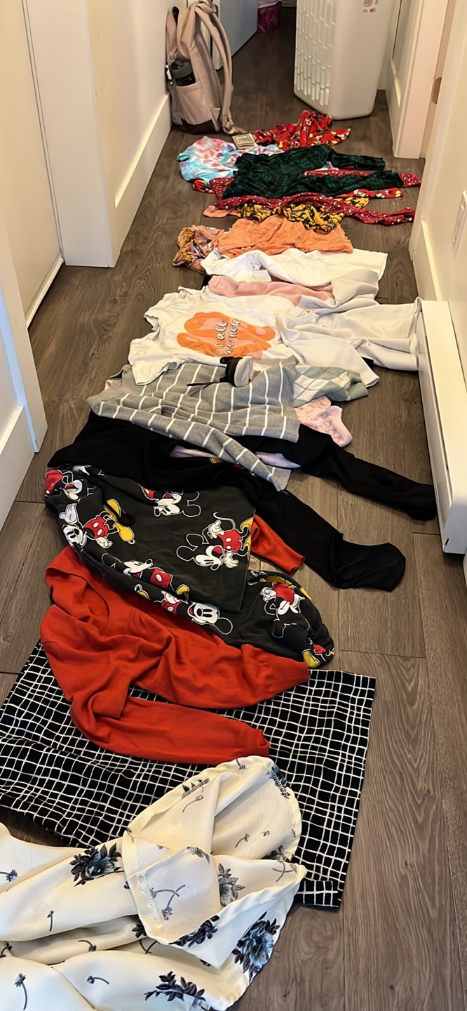 Bundle of Women's Clothing - Various Styles and Sizes