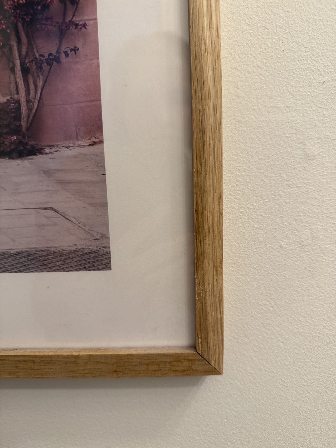 Framed Pink Bougainvillea Print - photo 2