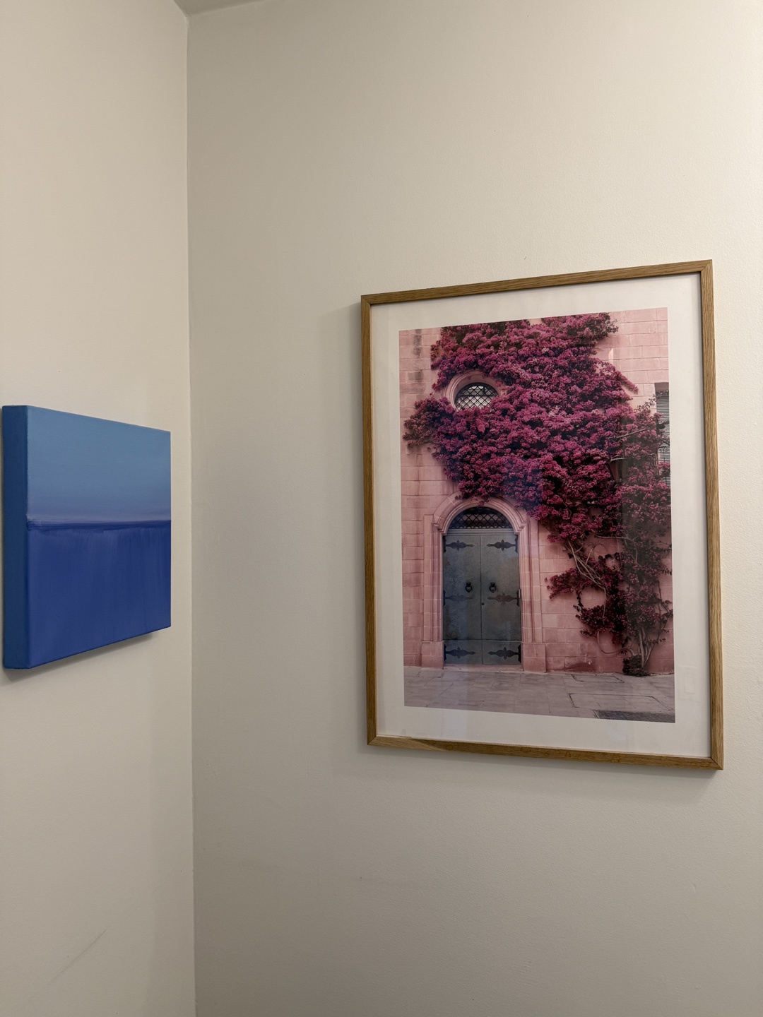 Framed Pink Bougainvillea Print