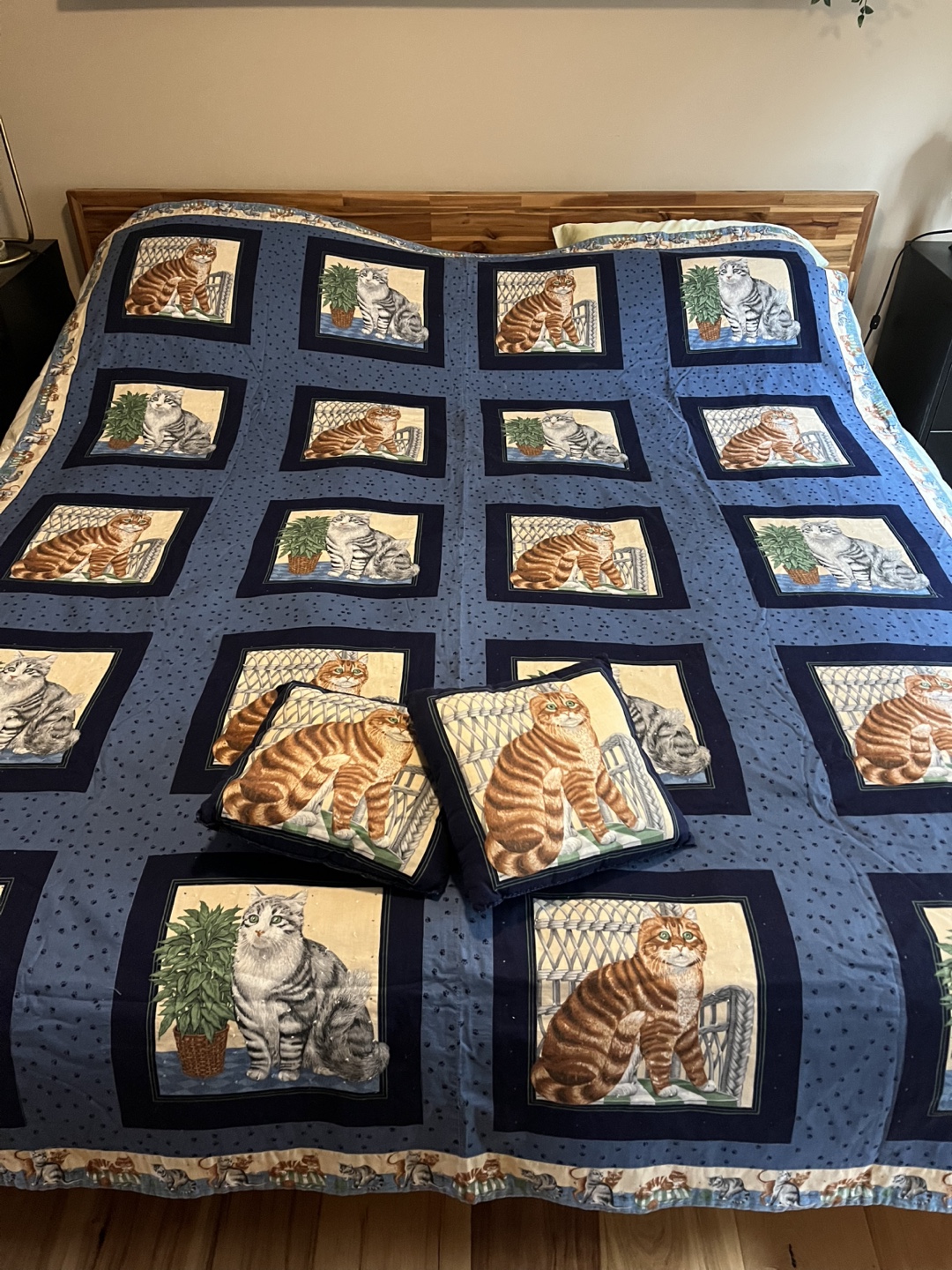 Cat Quilt Set with Matching Pillows