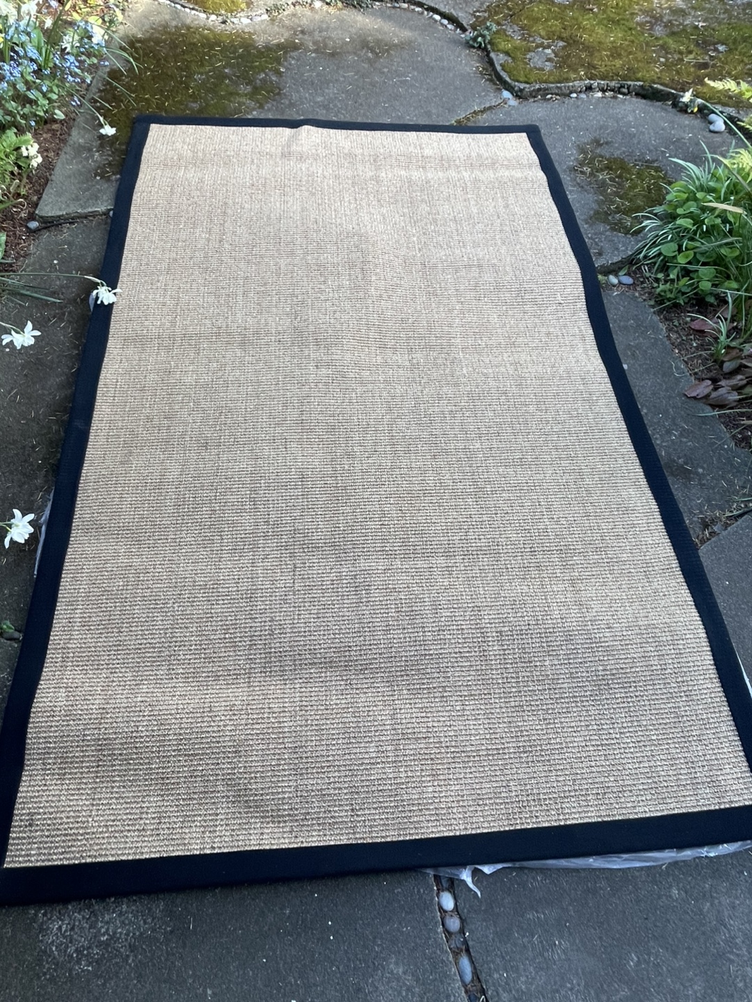 Natural Sisal Rug with Black Border