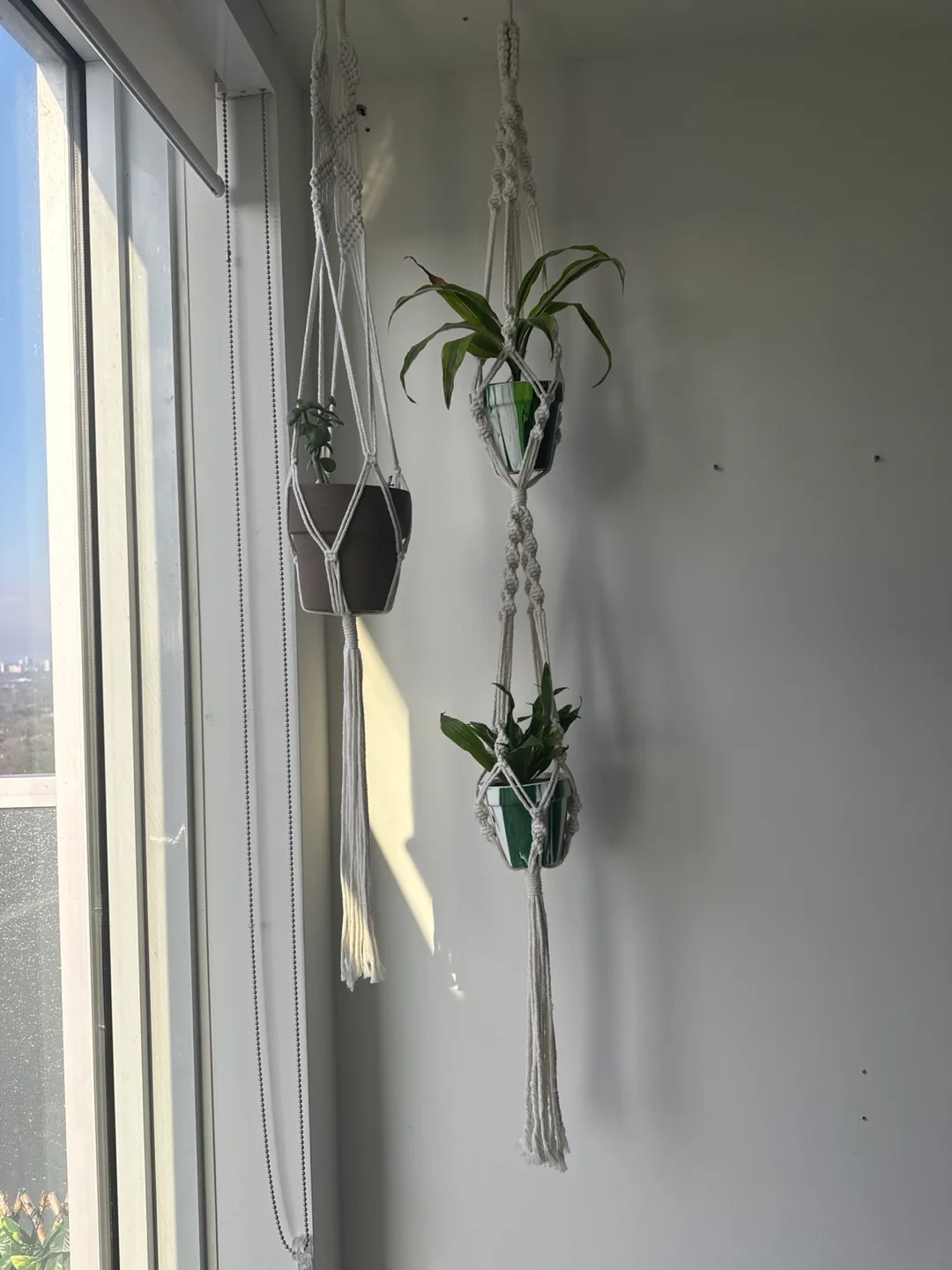 Macrame Plant Hangers - Set of Three thumbnail