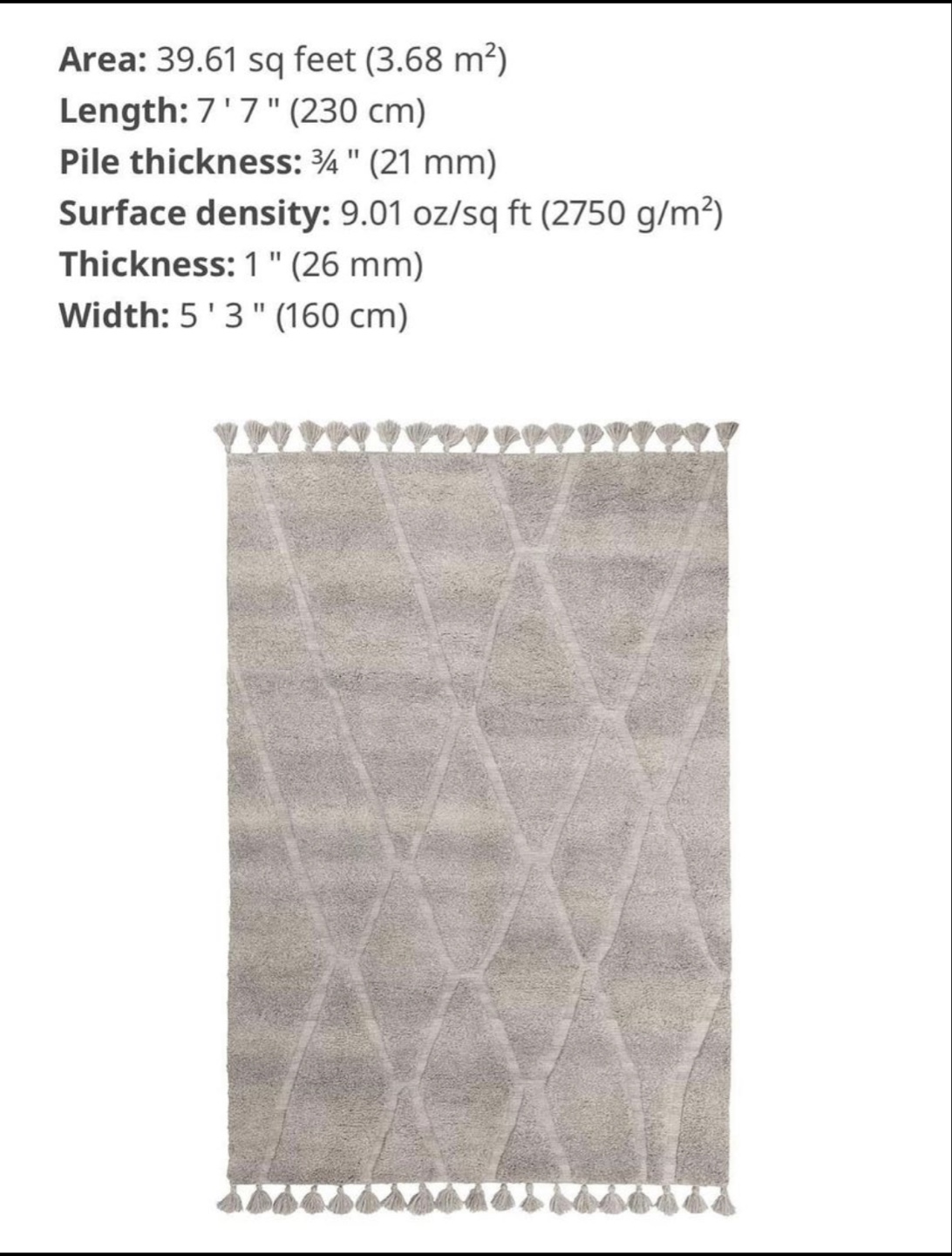 Light Grey Woven Rug with Tassels - 7'7" x 5'3" - photo 5