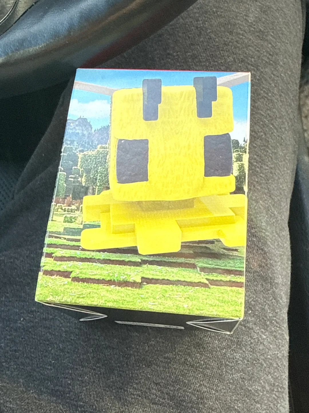 Minecraft McDonald’s Bee thumbnail