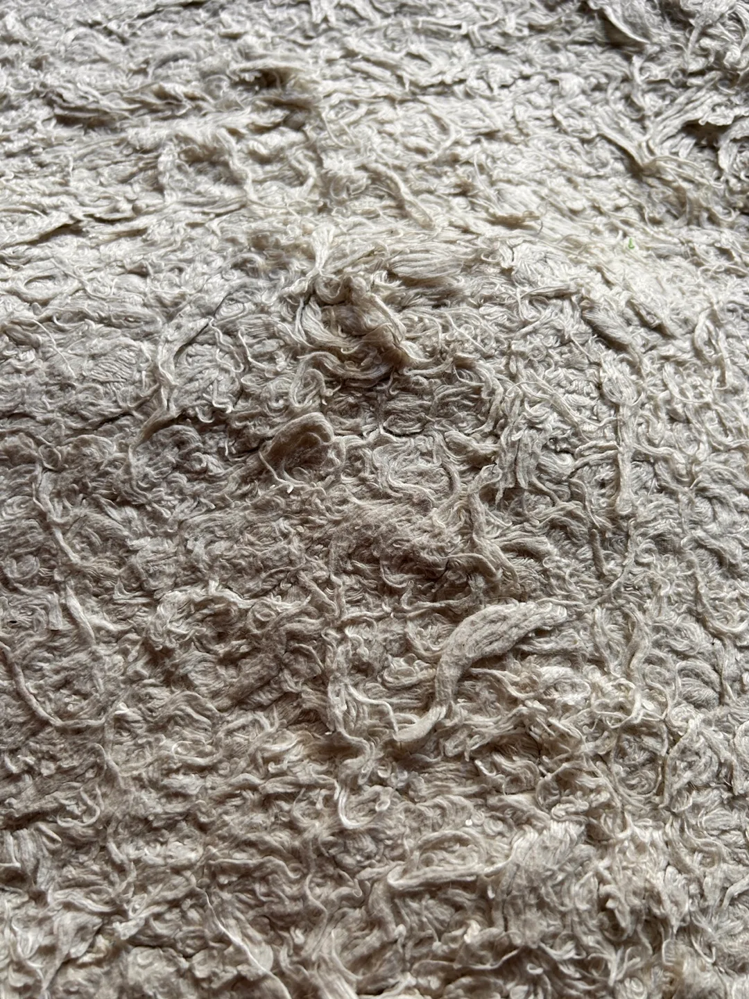 Off-white wool shag carpet image indicator(3)