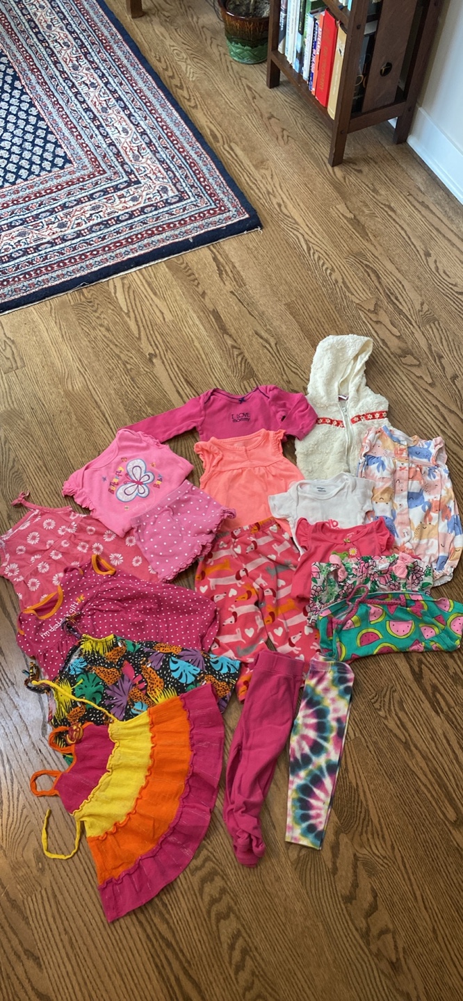 Baby Girl Clothes Bundle - Size 12-18Months