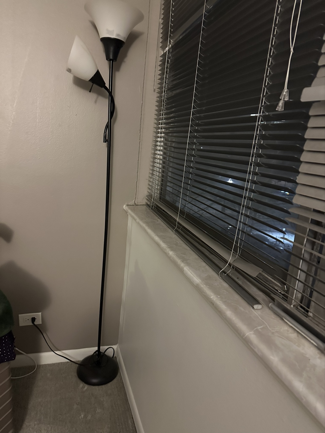 Dual Light Floor Lamp - photo 3