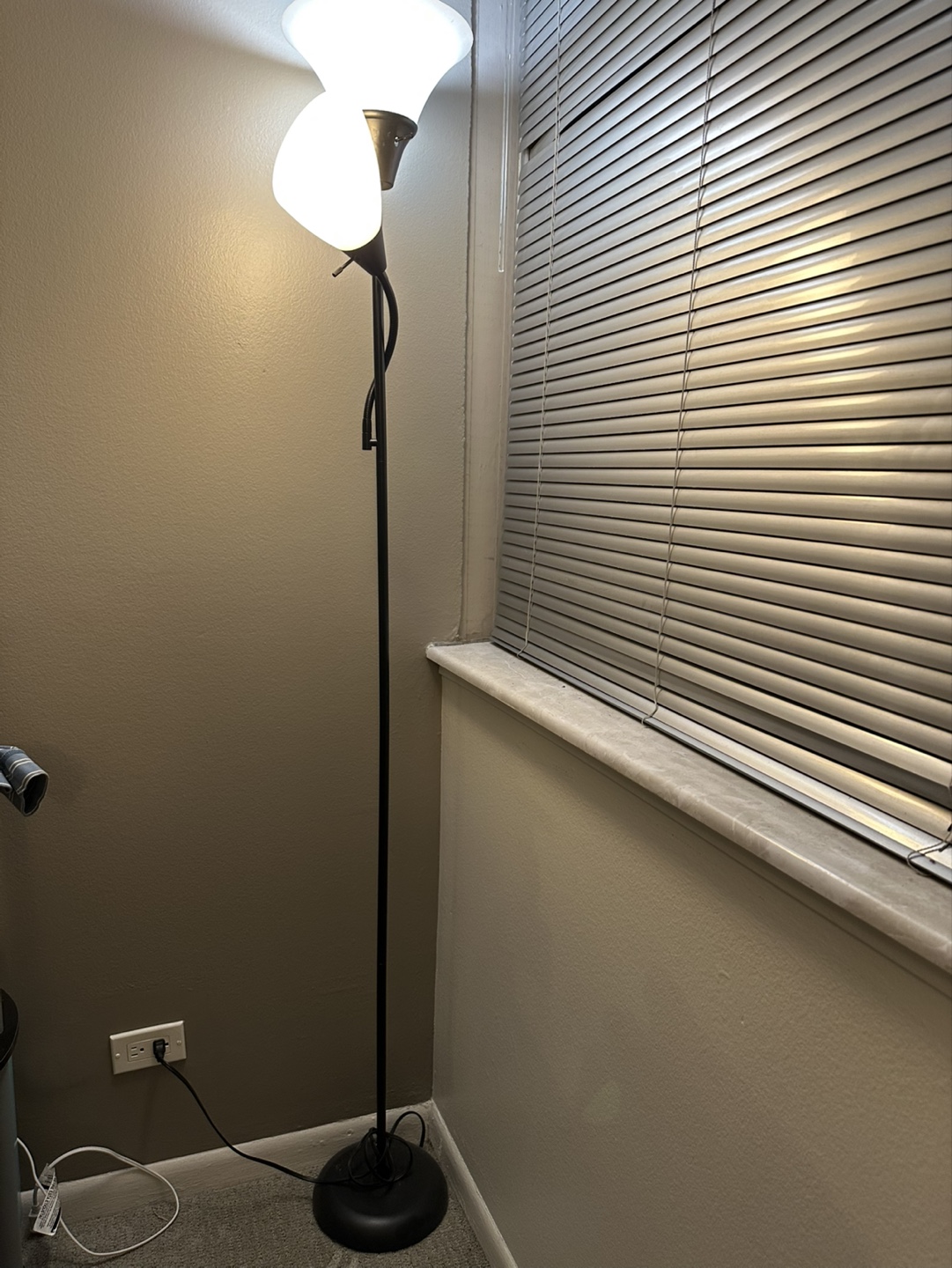 Dual Light Floor Lamp