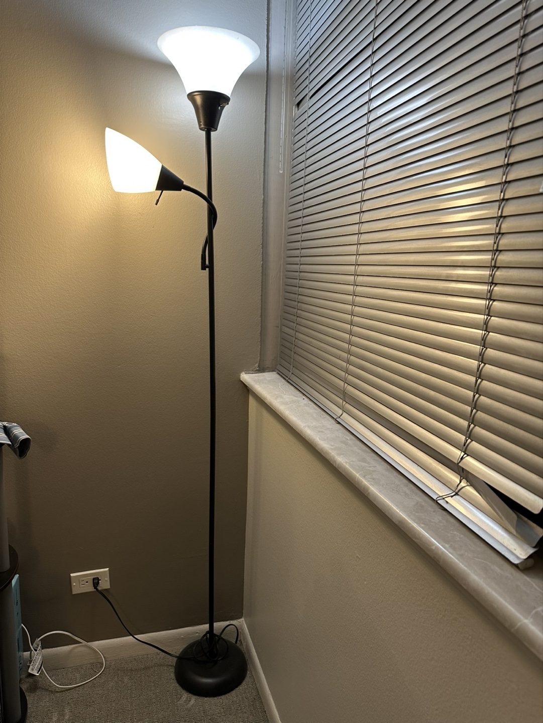 Dual Light Floor Lamp - photo 2