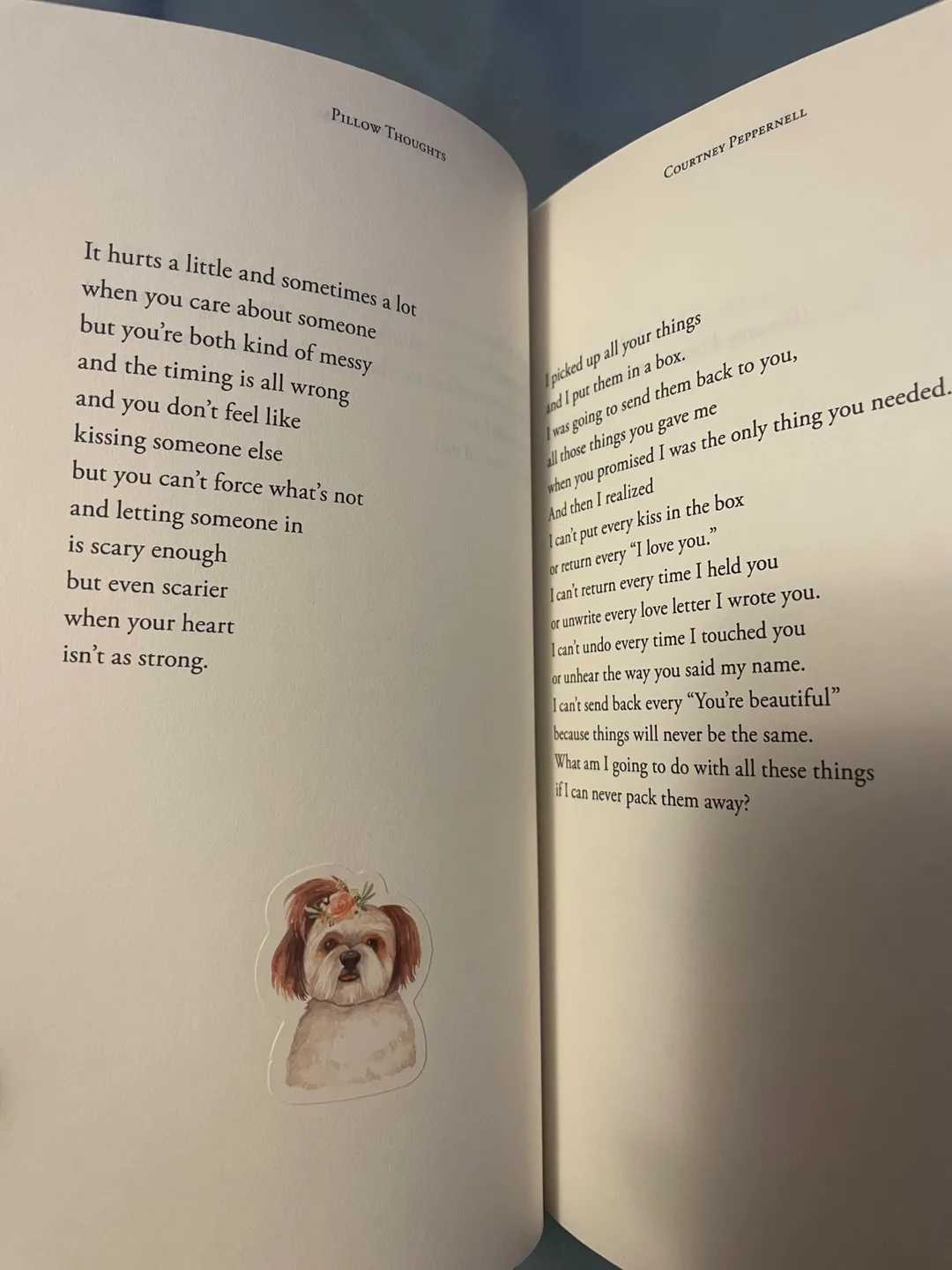 Pillow Thoughts I, II, & III Book Set by Courtney Peppernell image indicator(5)