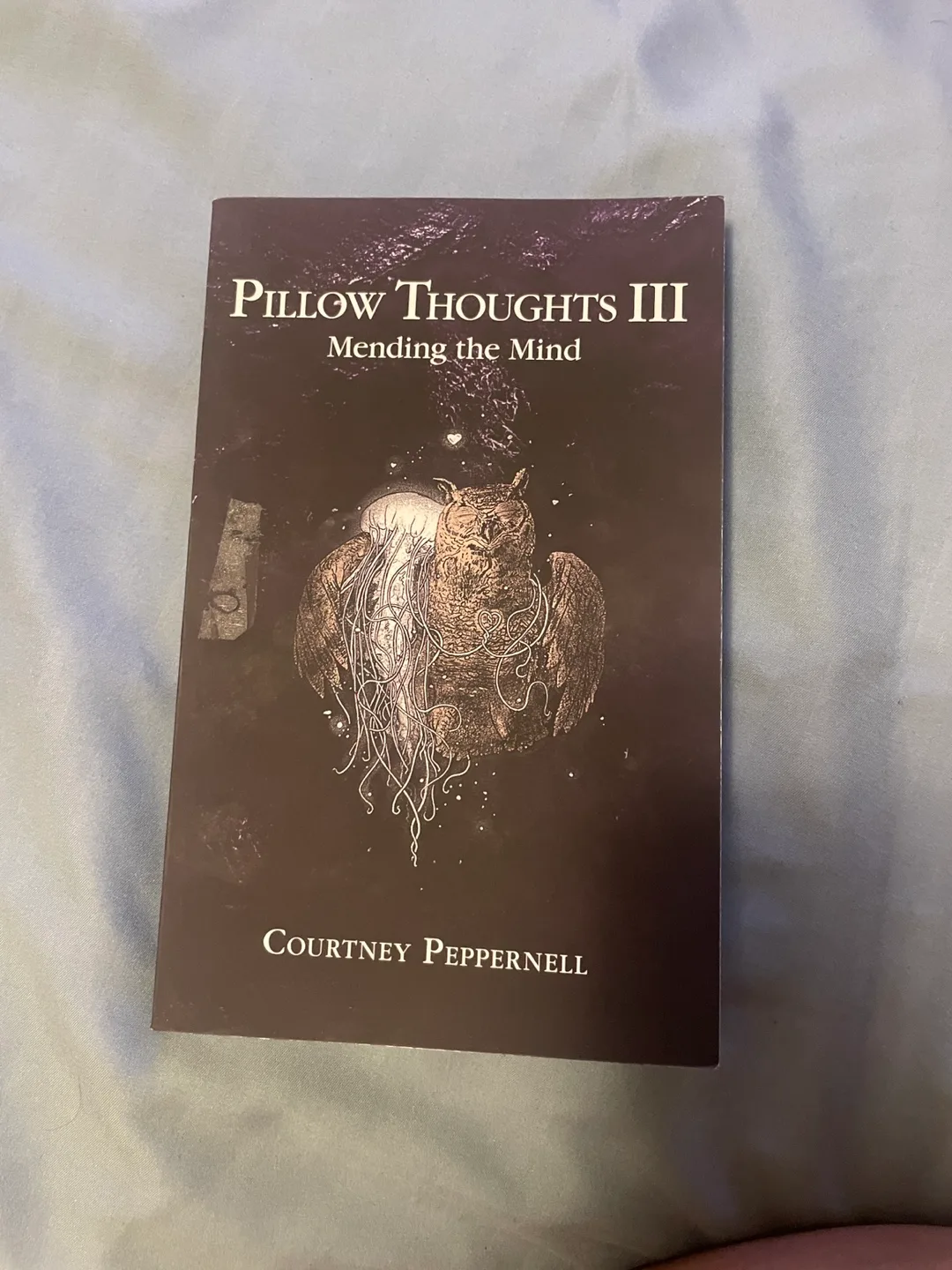 Pillow Thoughts I, II, & III Book Set by Courtney Peppernell image indicator(4)