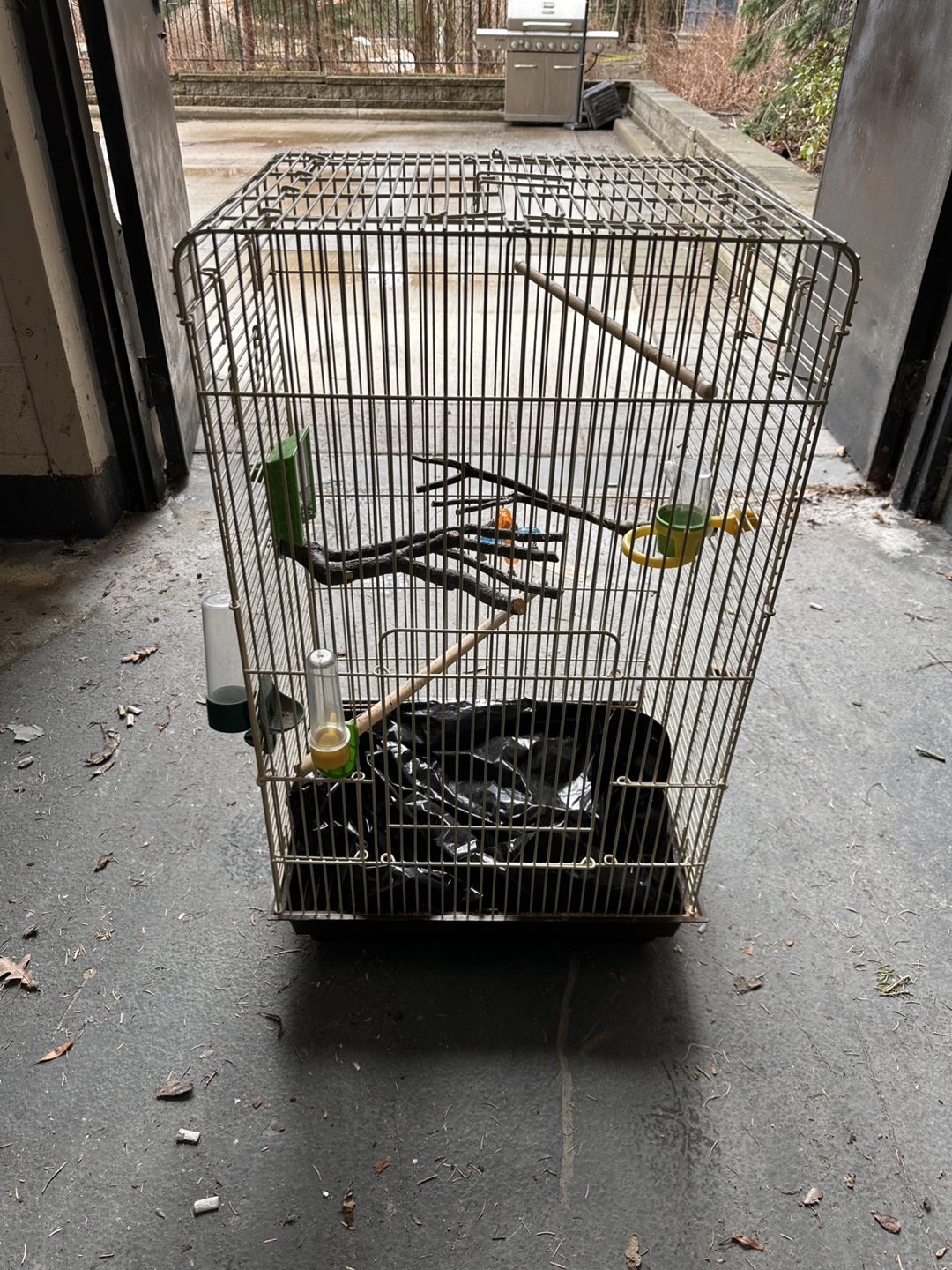 Large Bird Cage