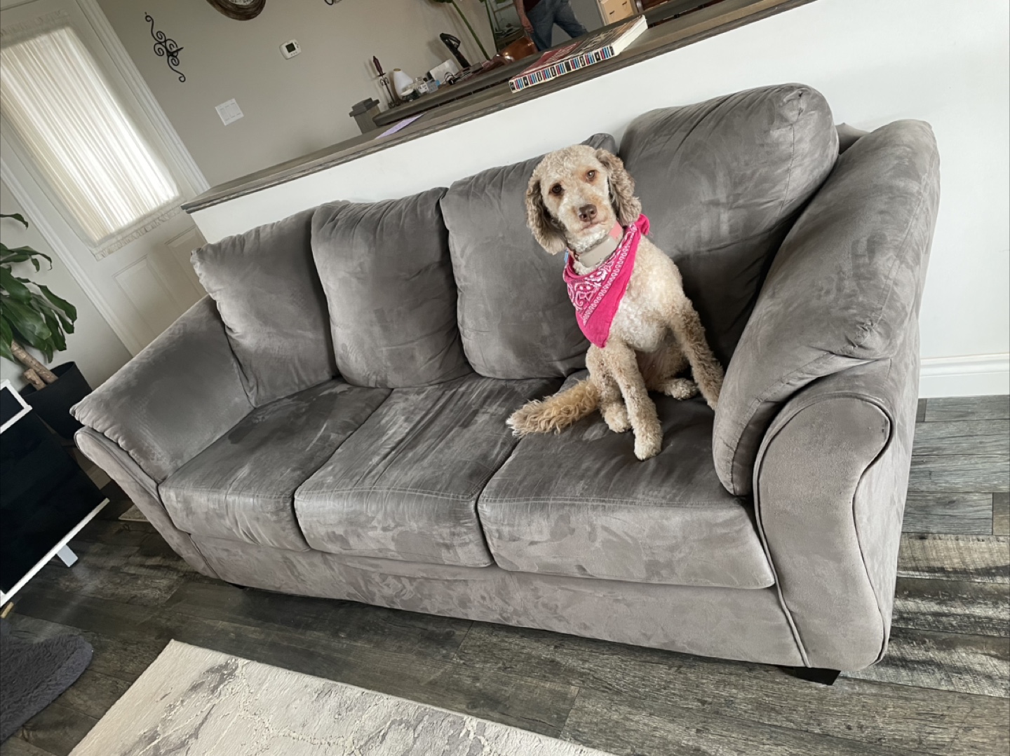 Grey Microfibre Sofa